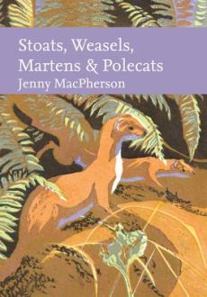 Stoat, weasel, marten and polecats