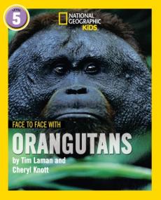 Face to face with orangutans