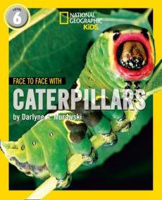 Face to face with caterpillars