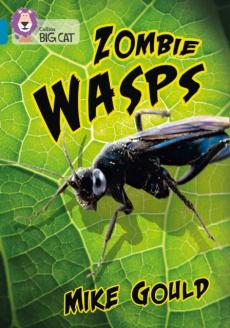 Zombie wasps