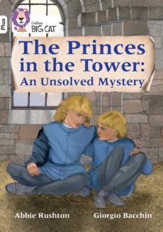 Princes in the tower: an unsolved mystery