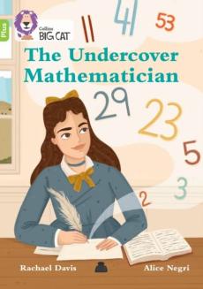 Undercover mathematician