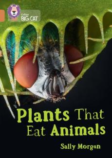 Plants that eat animals