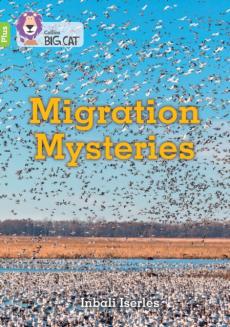 Migration mysteries