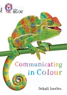 Communicating in colour