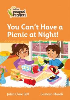 Level 4 - you can't have a picnic at night!