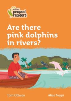 Level 4 - are there pink dolphins in rivers?