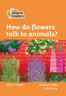 Level 4 - how do flowers talk to animals?