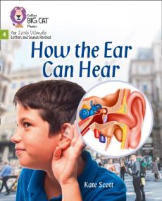 How the ear can hear