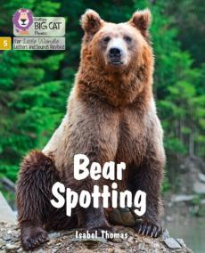 Bear spotting