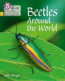 Beetles around the world