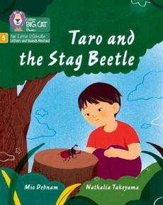 Taro and the stag beetle