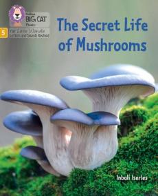 Secret life of mushrooms