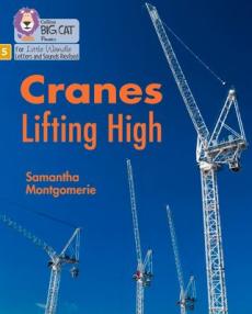 Cranes lifting high