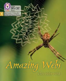 Amazing webs