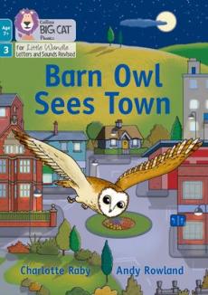 Barn owl sees town