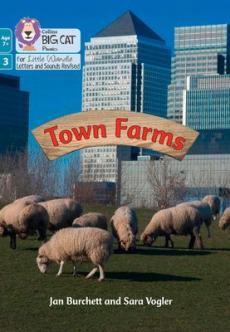 Town farm