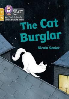 Cat burglar