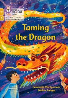 Taming the dragon