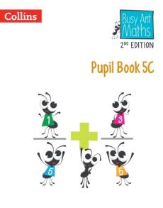 Pupil book 5c