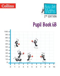 Pupil book 6b