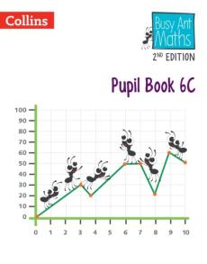 Pupil book 6c