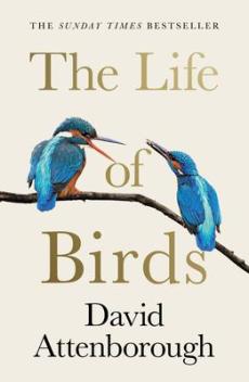 Life of birds