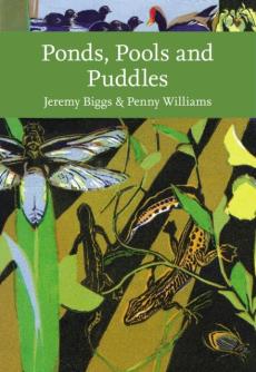 Ponds, pools and puddles