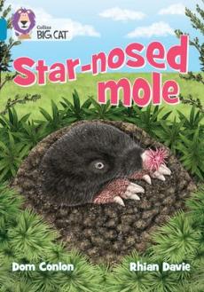 Star-nosed mole and other wonders