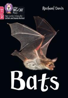 Bats