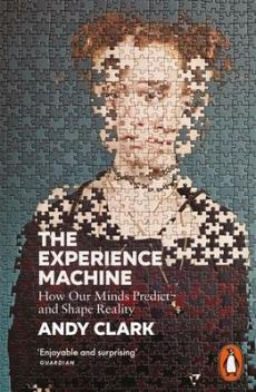 Experience machine
