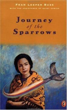 Journey of the sparrows