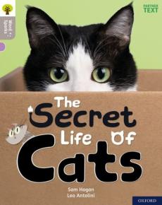 The secret life of cats