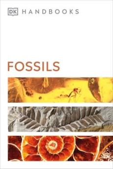 Fossils