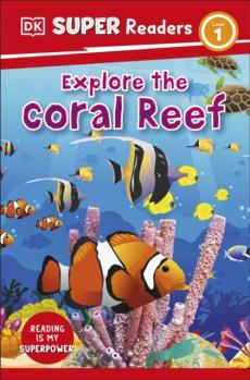 Explore the coral reef