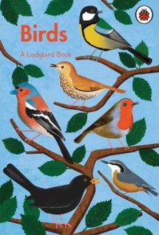 Ladybird book: birds