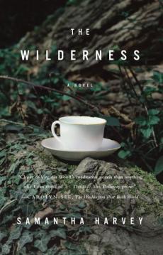 The wilderness : a novel