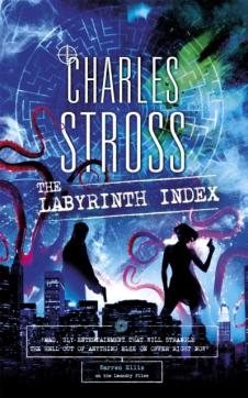 Labyrinth index