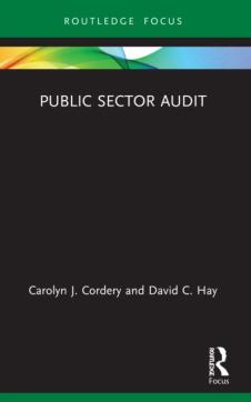 Public sector audit