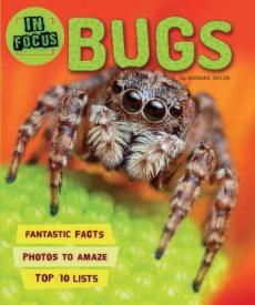 In focus: bugs