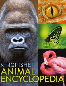 Kingfisher animal encyclopedia