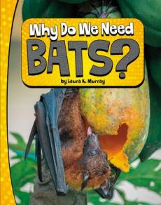 Why Do We Need Bats?
