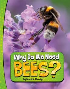 Why Do We Need Bees?