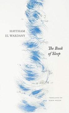 The book of sleep