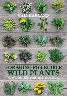 Foraging for edible wild plants