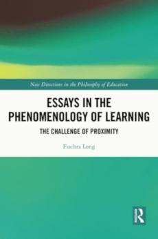 Essays in the phenomenology of learning