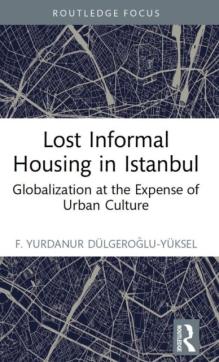 Lost informal housing in istanbul