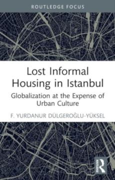 Lost informal housing in istanbul