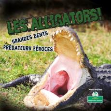 Les Alligators. Grandes Dents. Chasseurs Féroces!