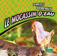 Mocassins d'Eau